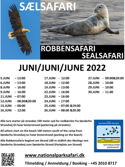 saelsafari-kalender-juni-2022