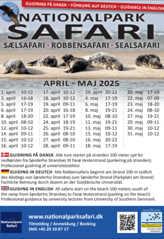 Skærmbillede 2025-04-01 131821