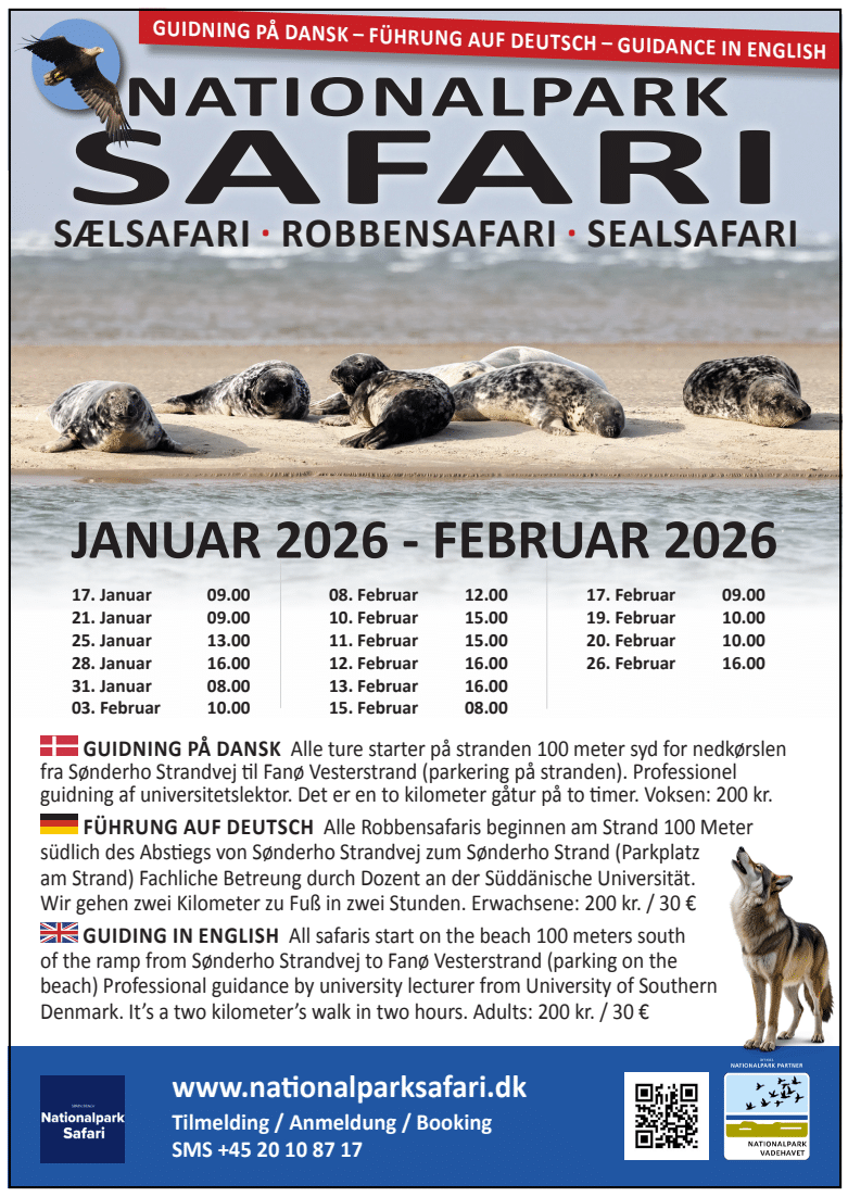 sælsafari2026