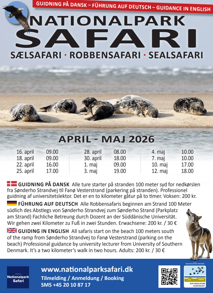 screenshot-2026-04-28-130534