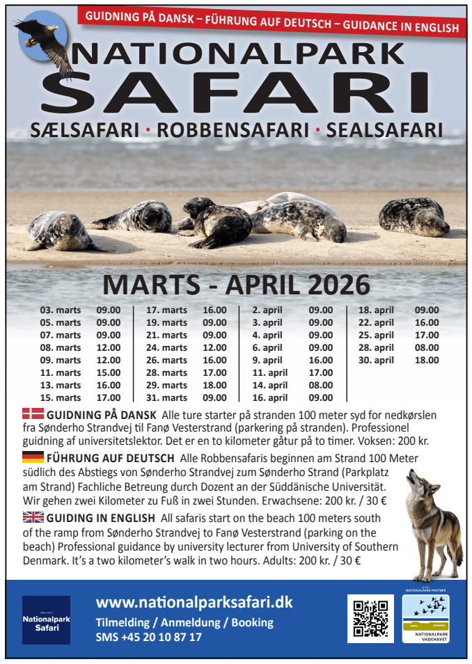 Skærmbillede 2026-04-08 083056