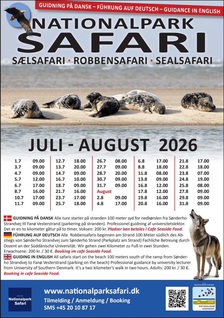 Screenshot 2026-07-02 133010